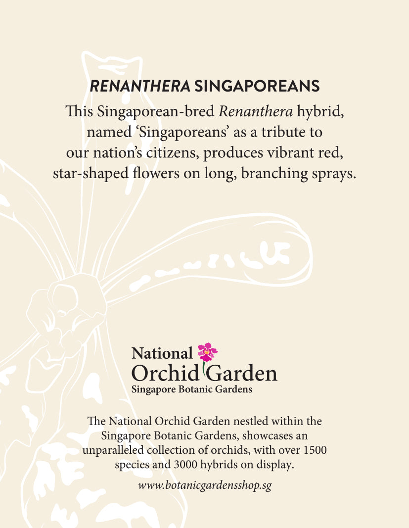 National Orchid Garden Magnet - Renanthera Singaporeans