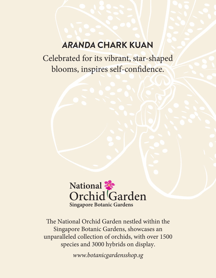 National Orchid Garden Magnet - Aranda Chark Kuan