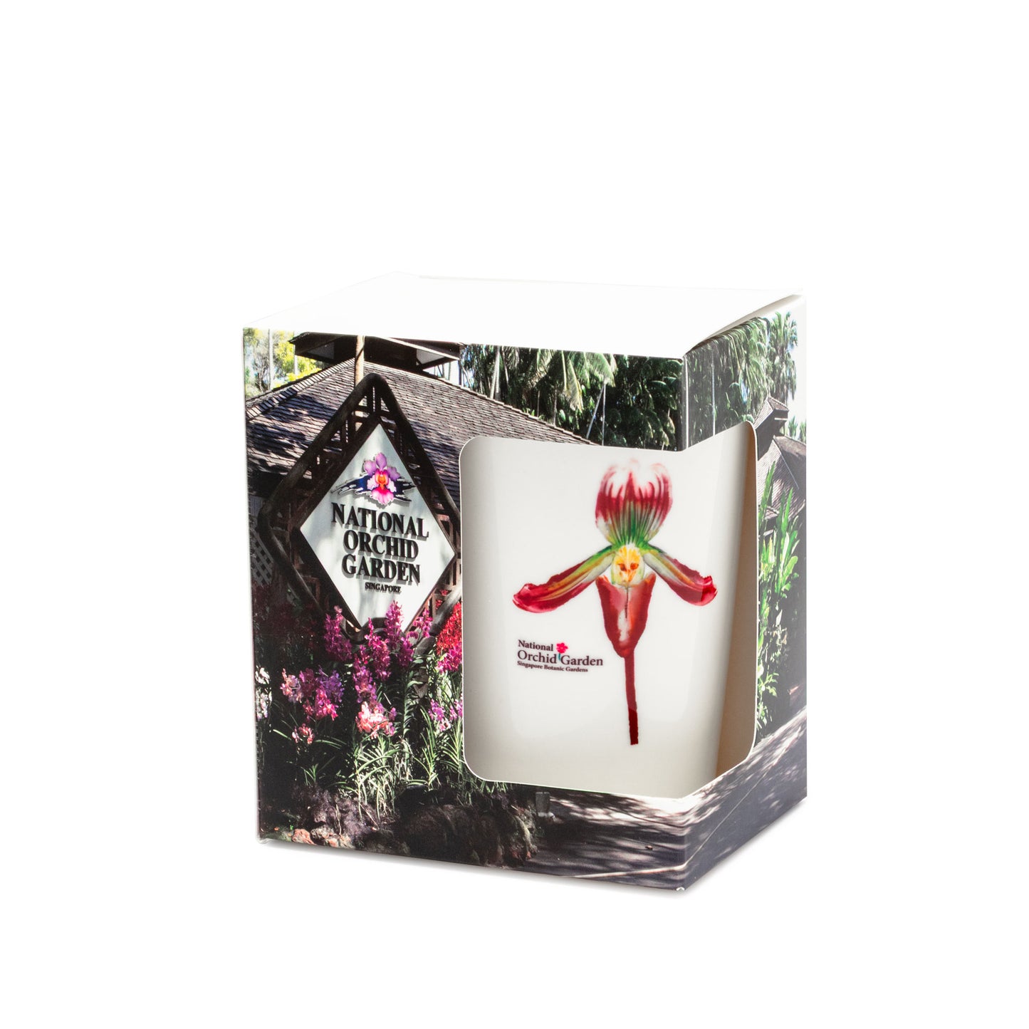 Ceramic Mug – Paphiodellium barbatum