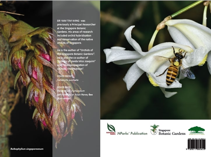 Native Orchids of Singapore : Diversity, Identification and Conservation (2nd edition)