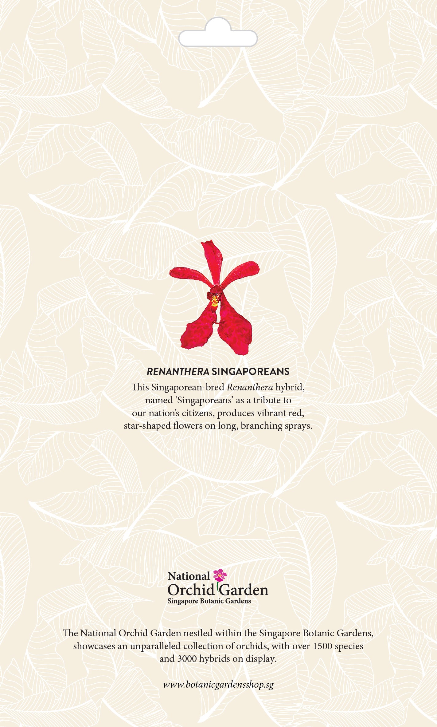 Botanic Luggage Sticker – Renanthera Singaporeans