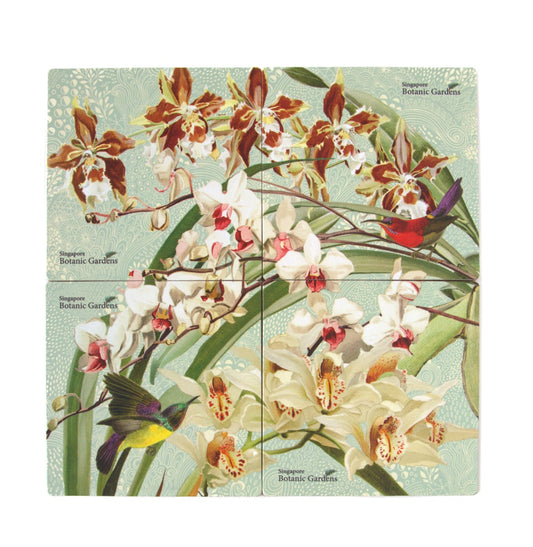 Orchid Odyssey Coaster