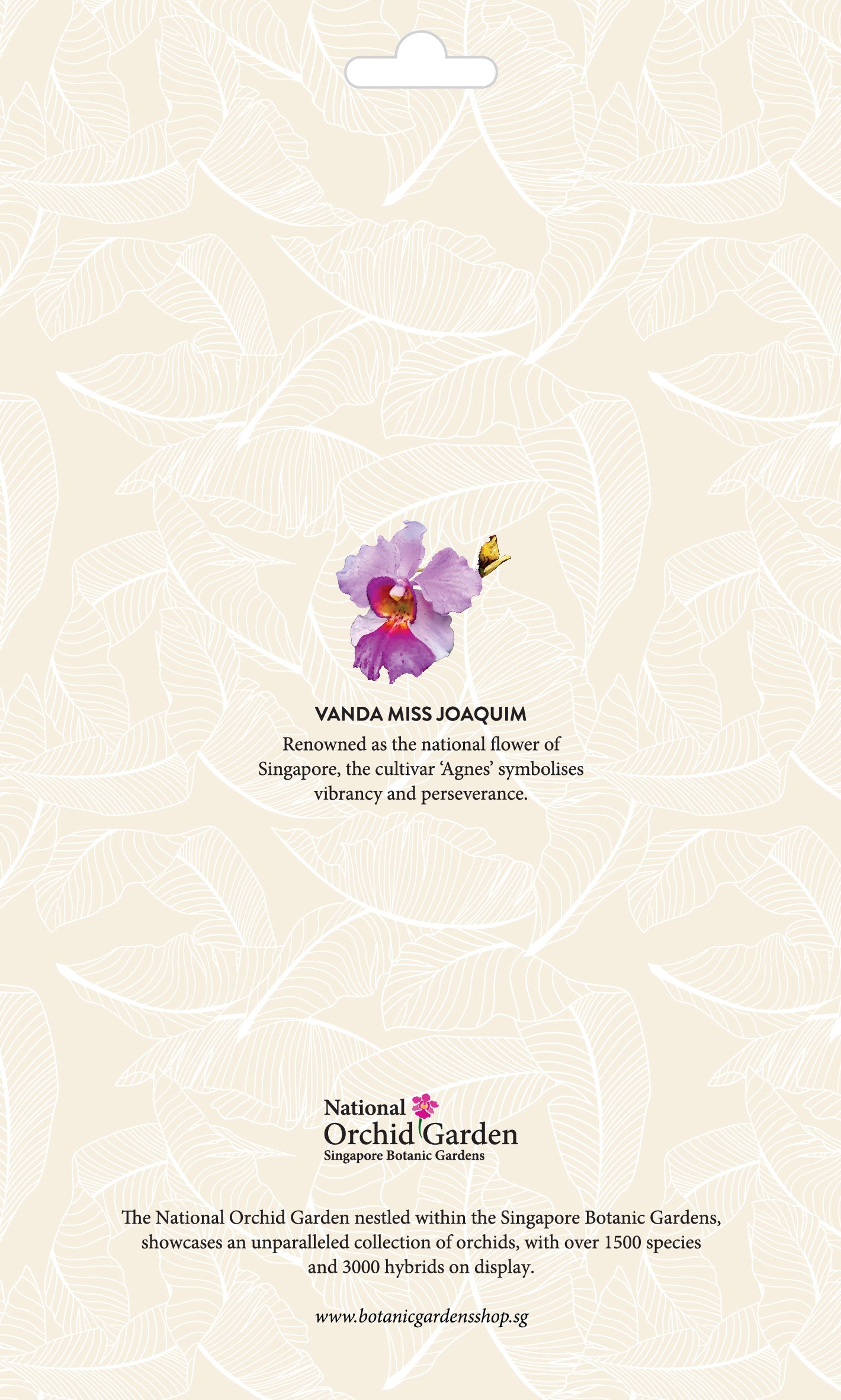 Botanic Luggage Sticker – Vanda Miss Joaquim