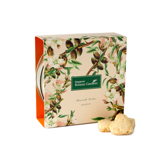 Almond Cookie