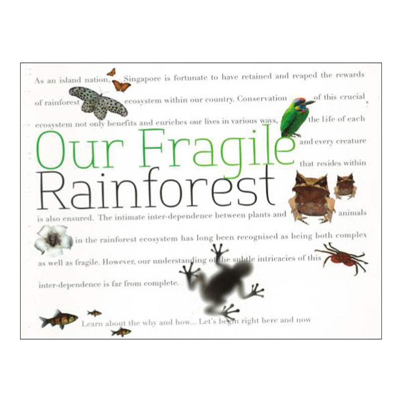 our-fragile-rainforest