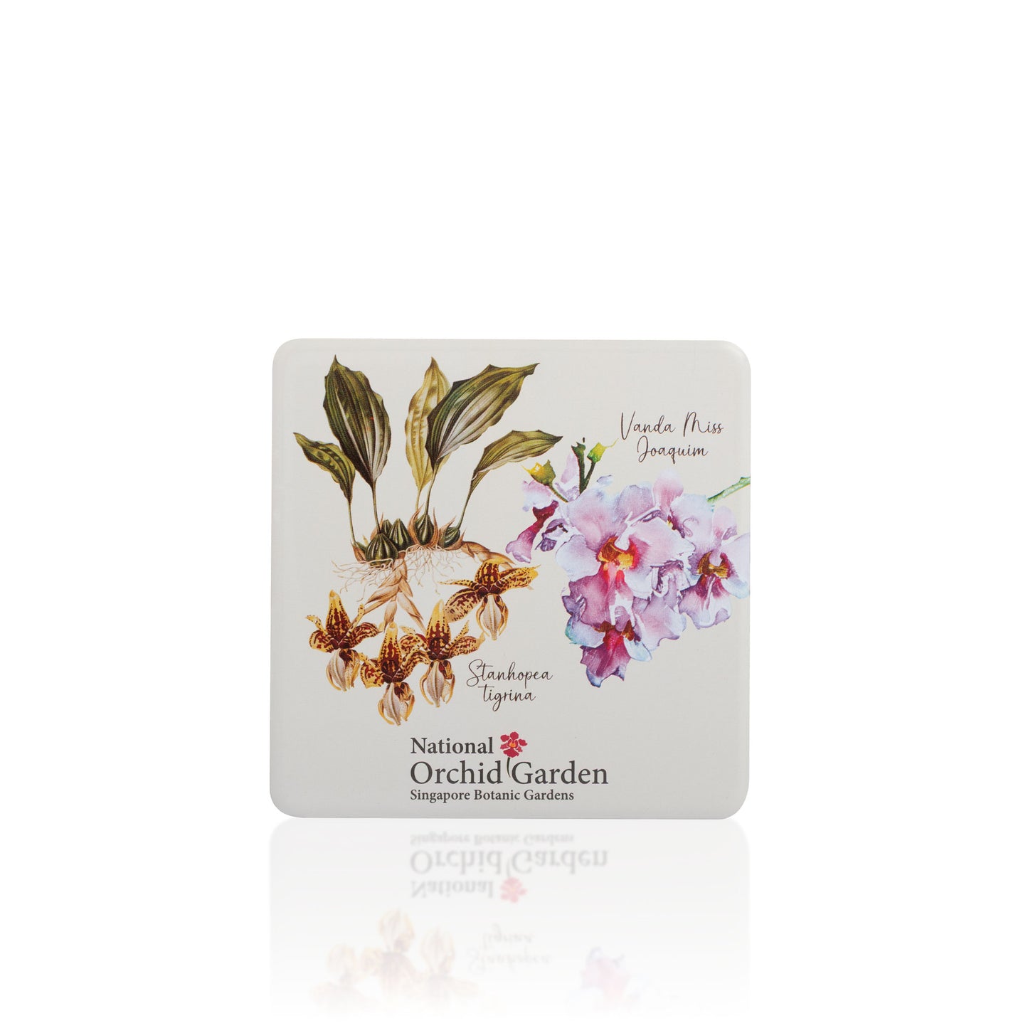 National Orchid Garden Magnet - Stanhopea Tigrina & Vanda Miss Joaquim