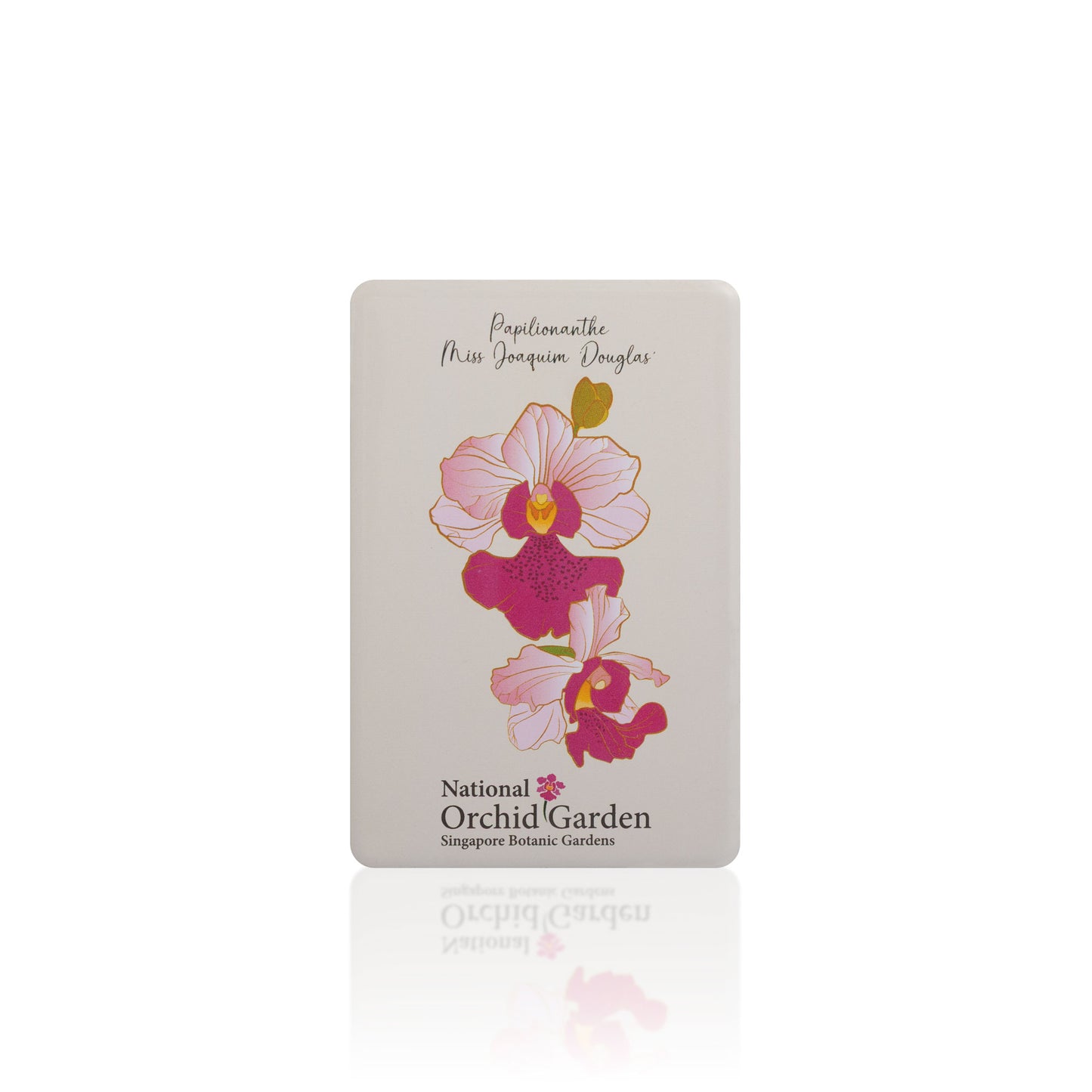 National Orchid Garden Magnet - Vanda Miss Joaquim Douglas