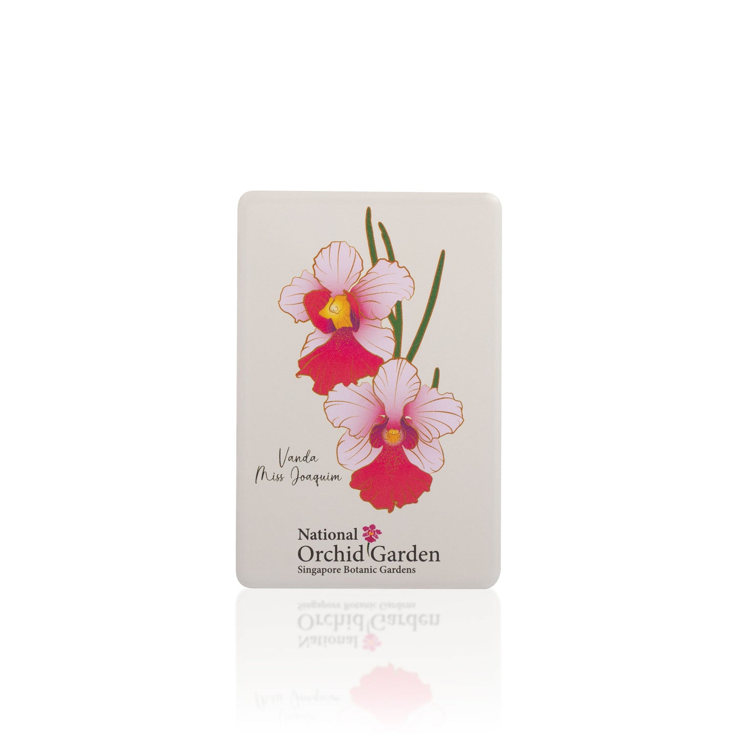 National Orchid Garden Magnet - Vanda Miss Joaquim