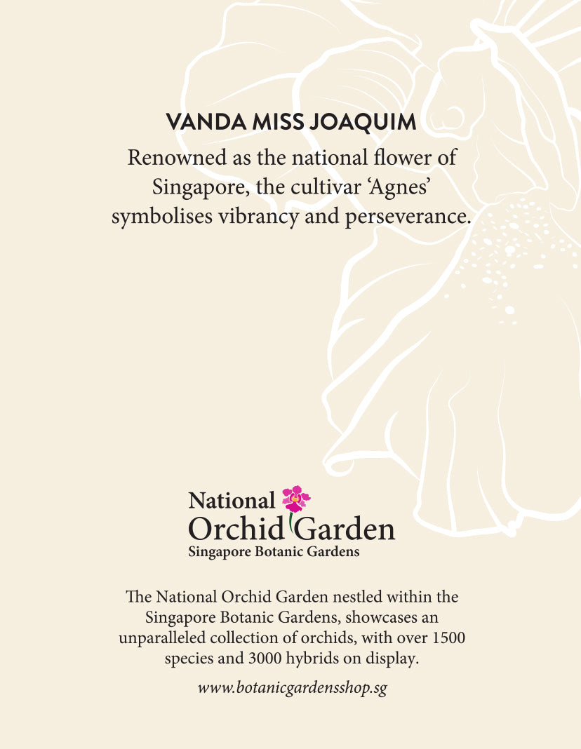 National Orchid Garden Magnet - Vanda Miss Joaquim