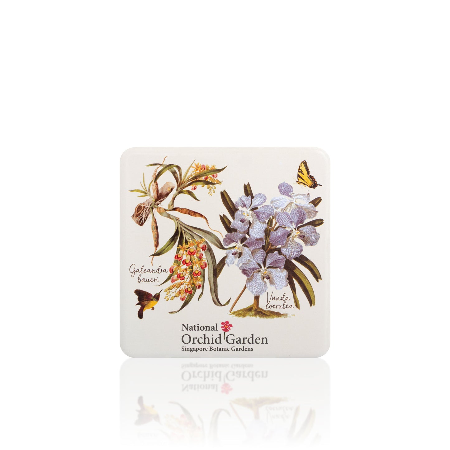 National Orchid Garden Magnet - Galeandra Baueri & Vanda Coerulea