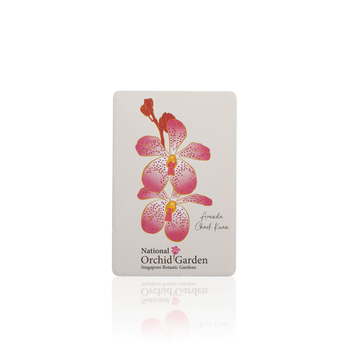 National Orchid Garden Magnet - Aranda Chark Kuan