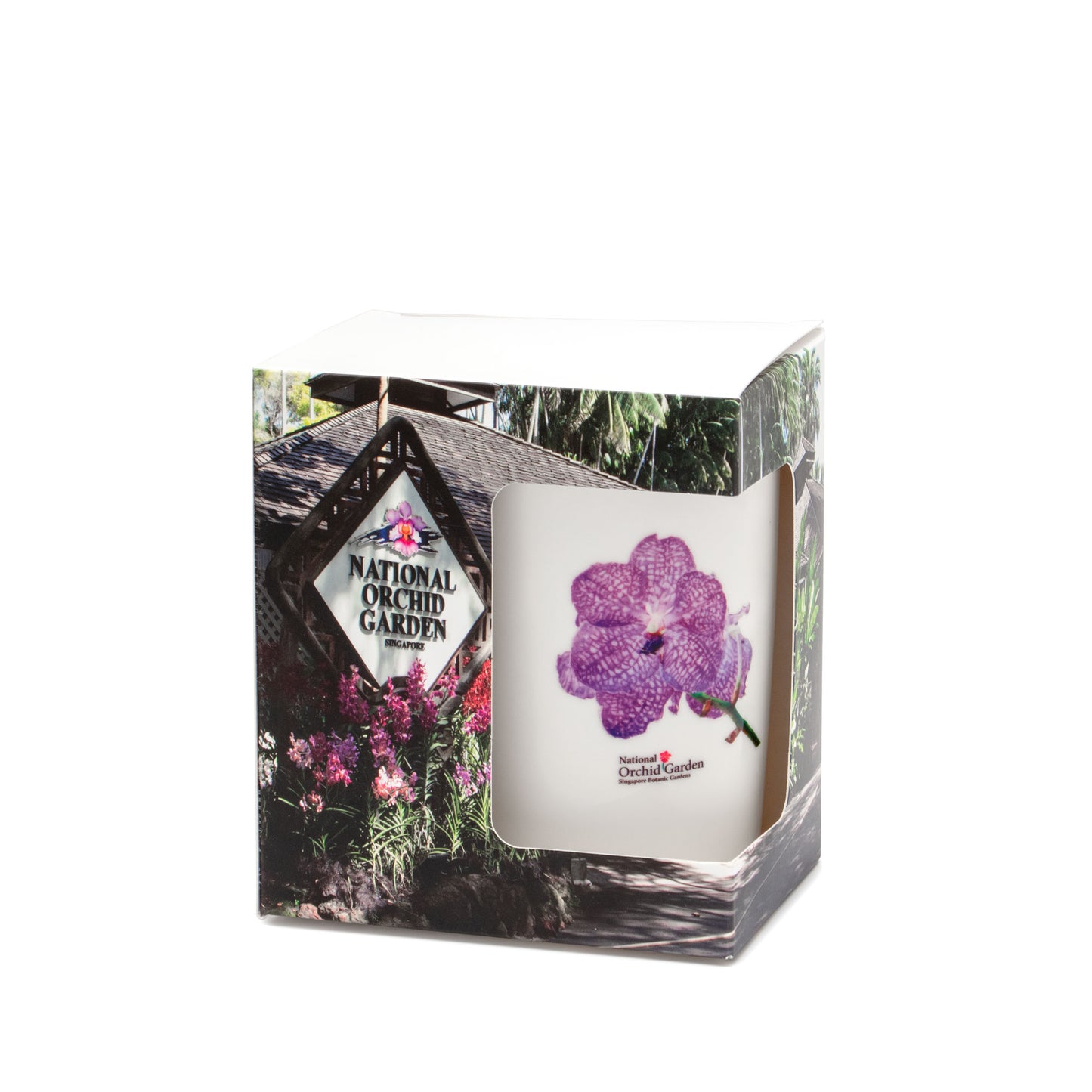 Ceramic Mug - Vanda Coreulea