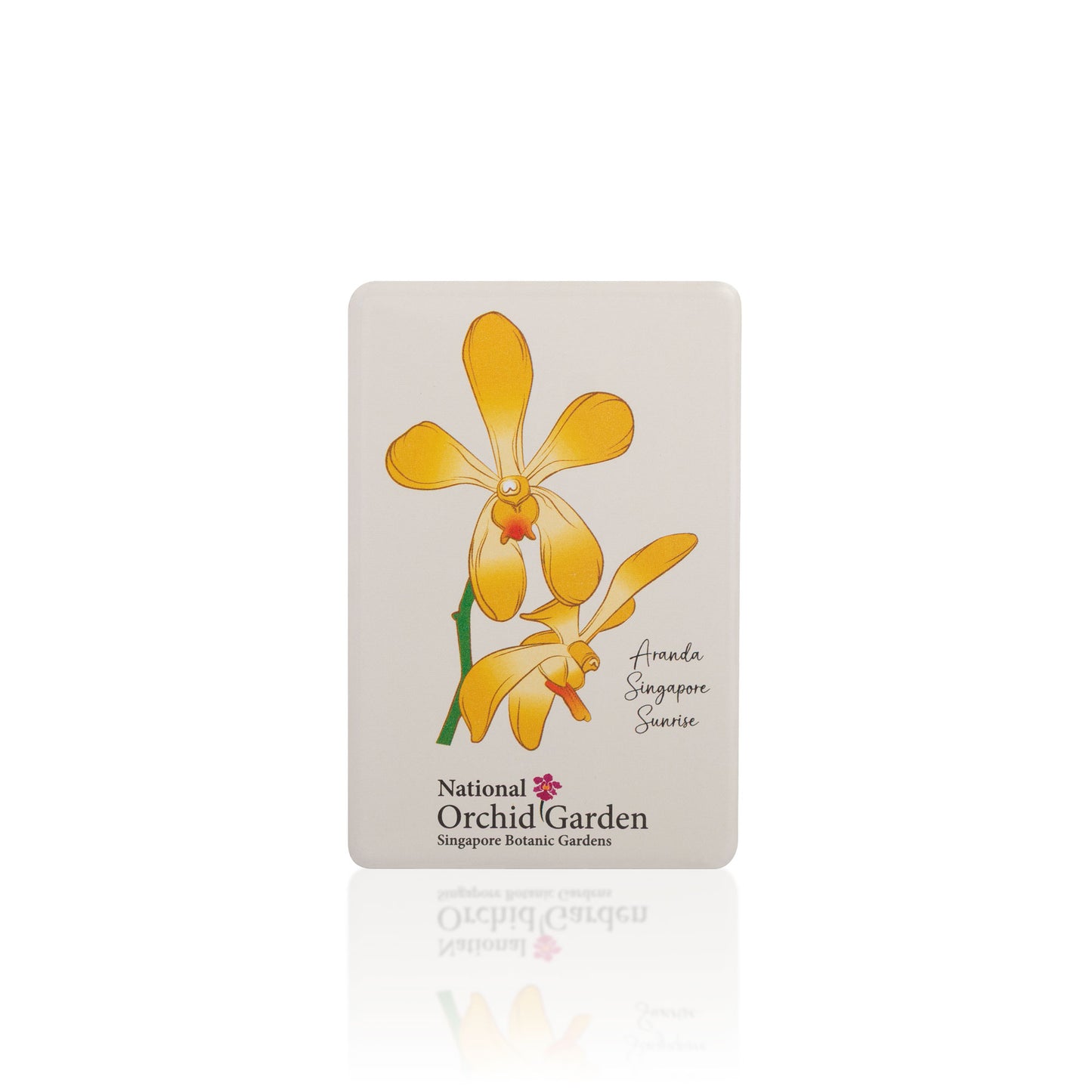 National Orchid Garden Magnet - Aranda Singapore Sunrise