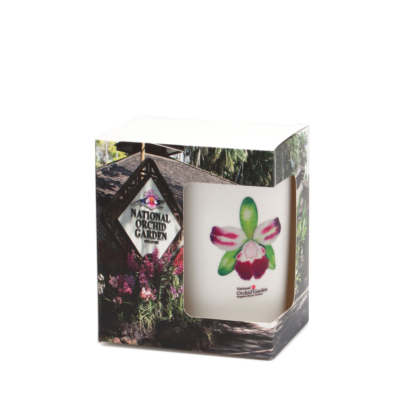 Ceramic Mug – Rhyncholaeliocattleya Yen Corona