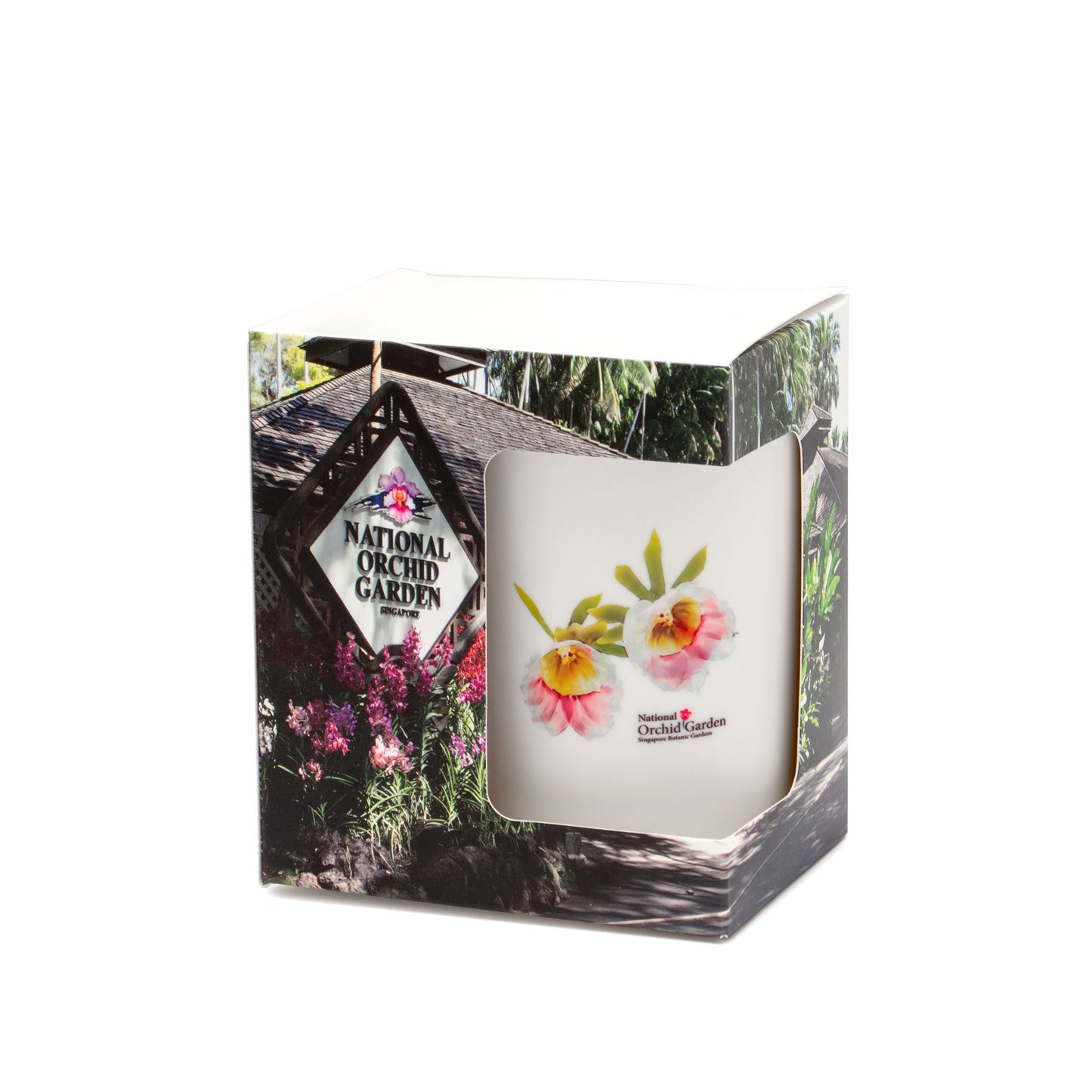 Ceramic Mug – Galeandra baueri