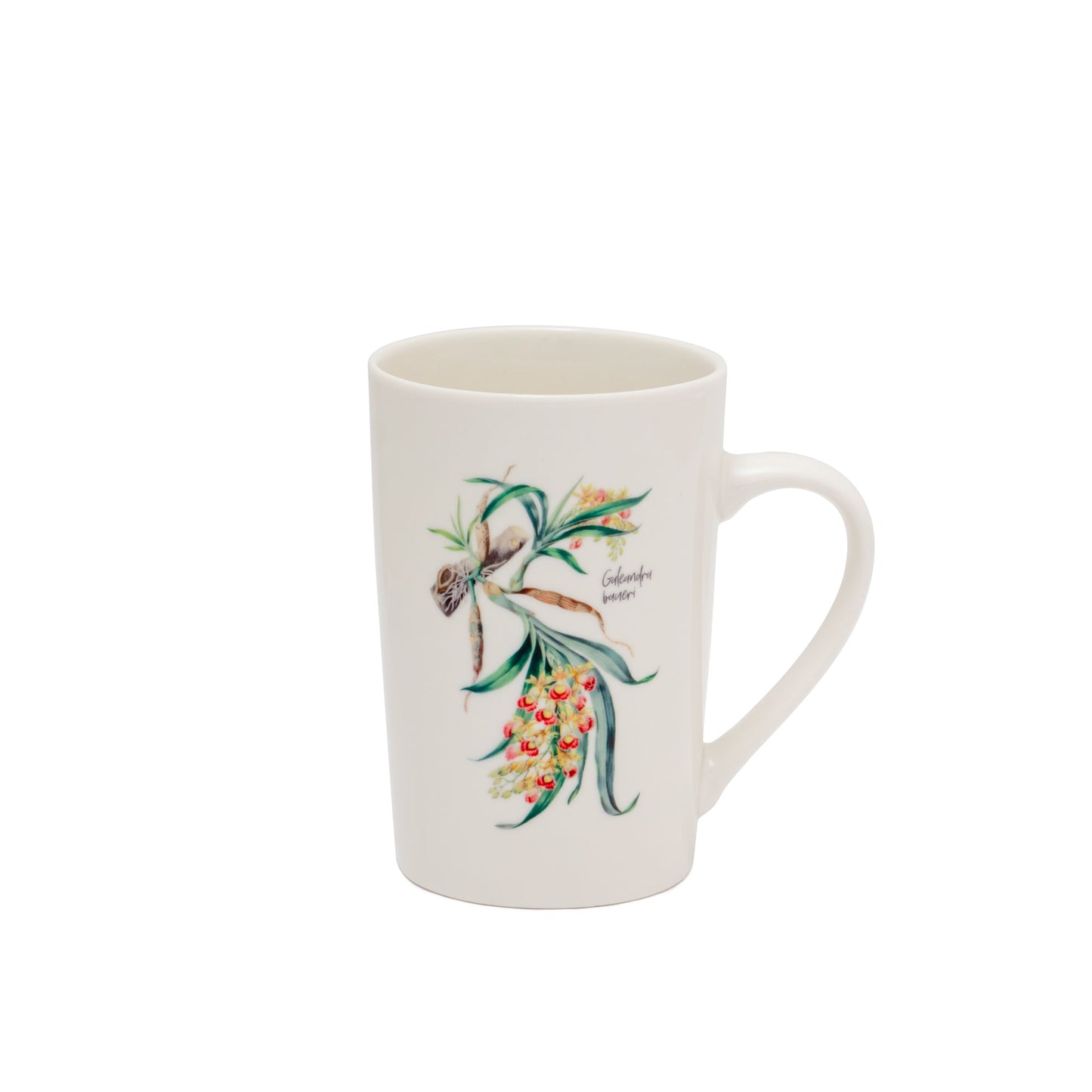 Ceramic Mug – Galeandra baueri
