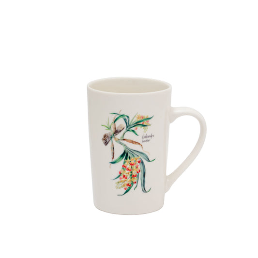 Ceramic Mug – Galeandra baueri