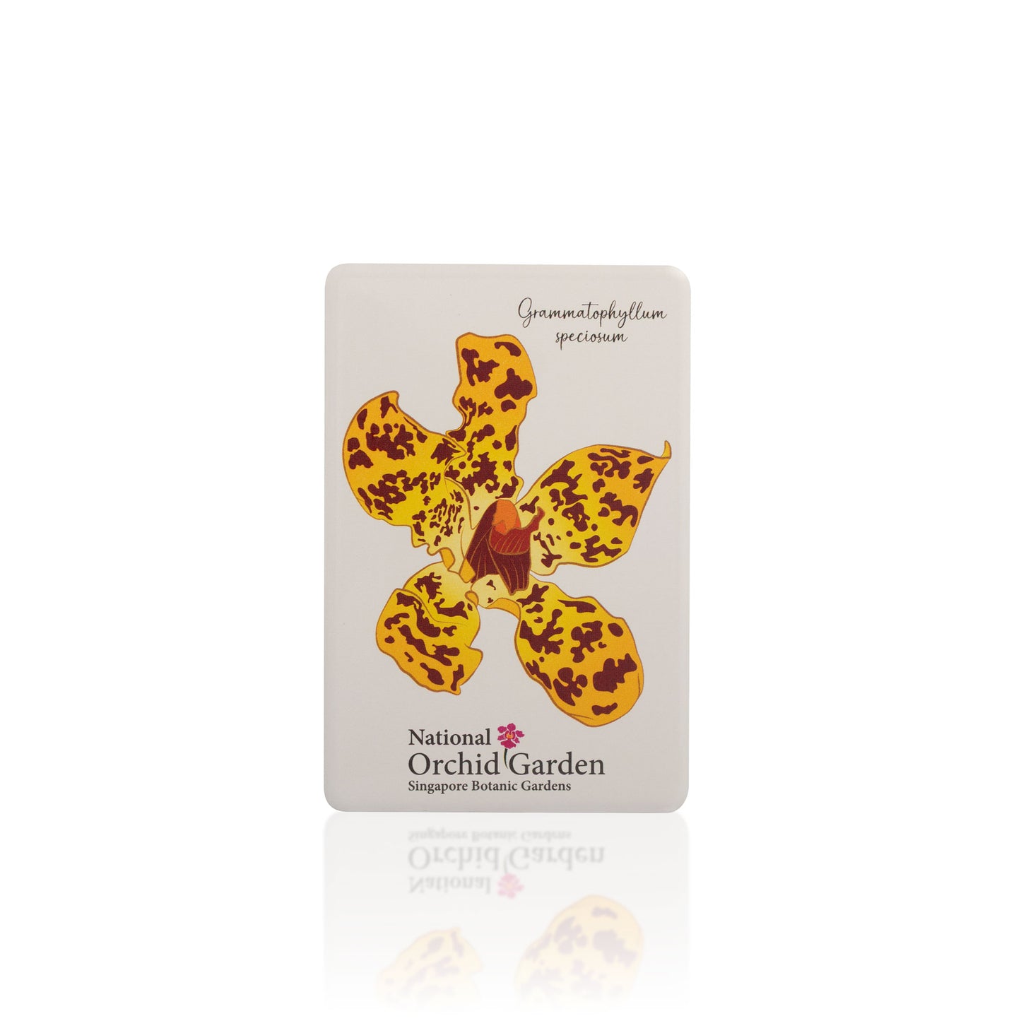 National Orchid Garden Magnet - Grammatophyllum Speciosum