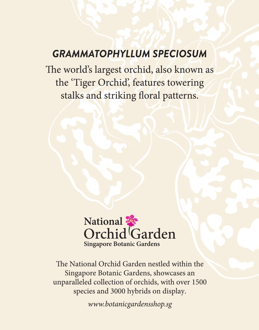 National Orchid Garden Magnet - Grammatophyllum Speciosum