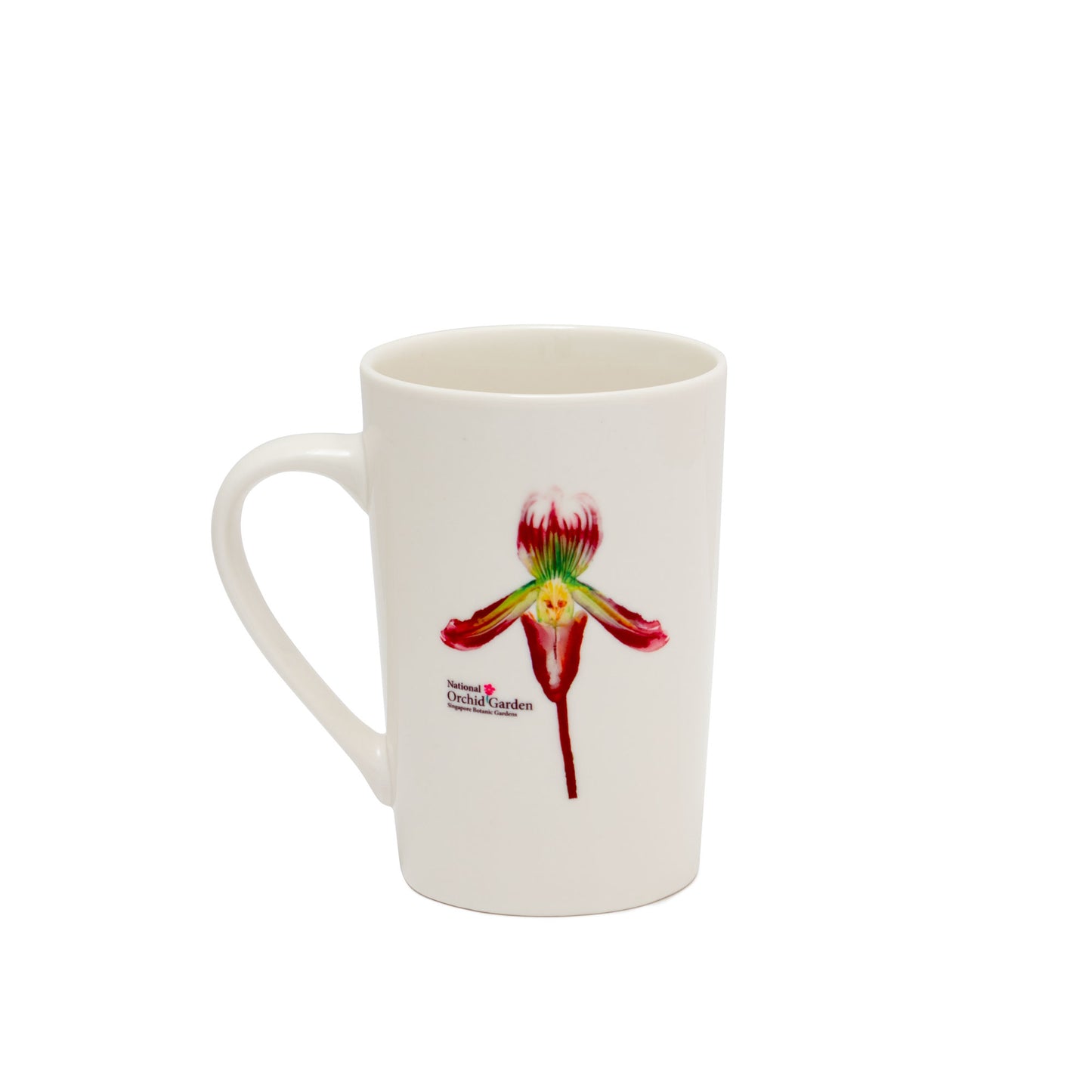 Ceramic Mug – Paphiodellium barbatum