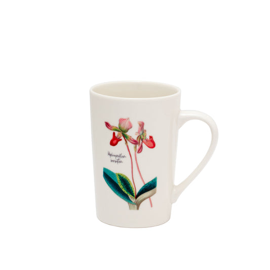 Ceramic Mug – Paphiodellium barbatum