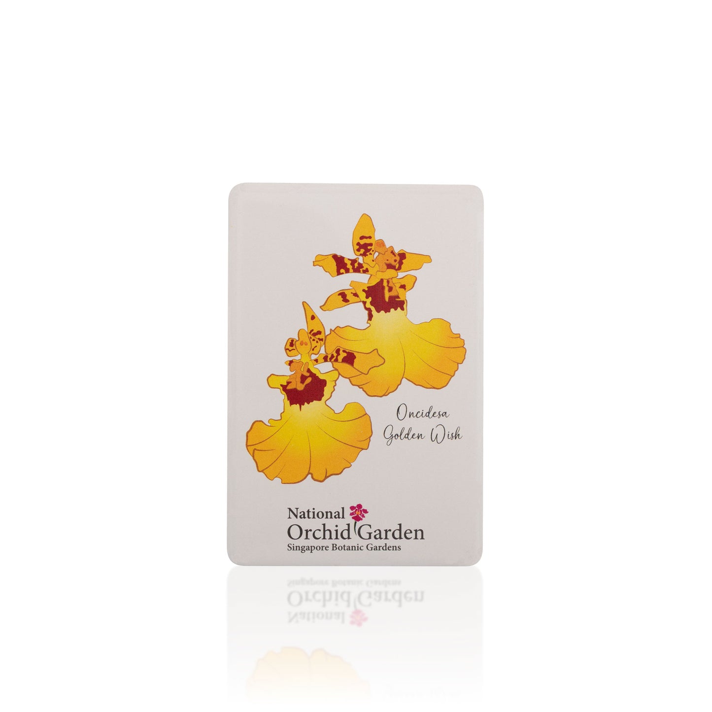 National Orchid Garden Magnet - Oncidesa Golden Wish
