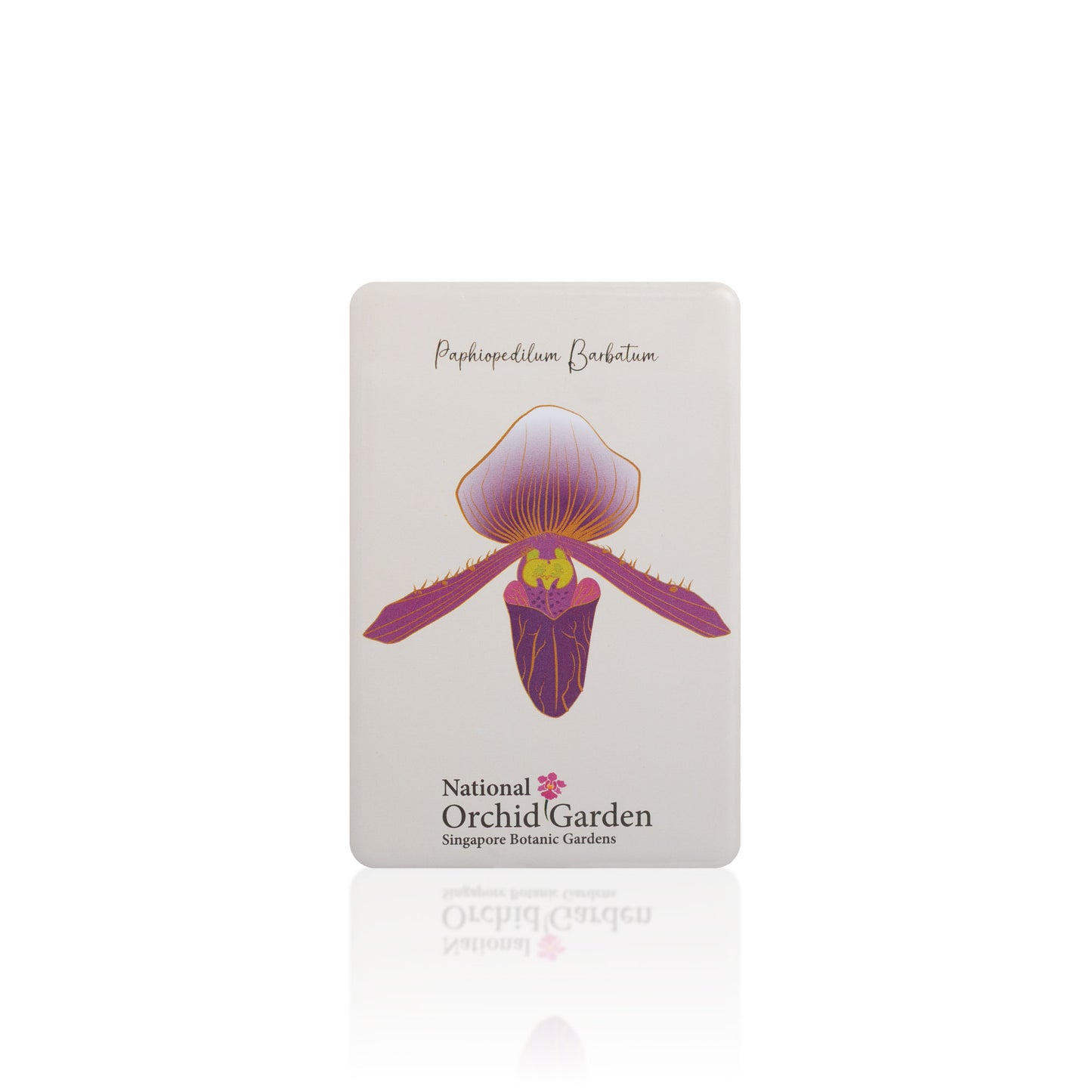 National Orchid Garden Magnet - Paphiopedilum Barbatum