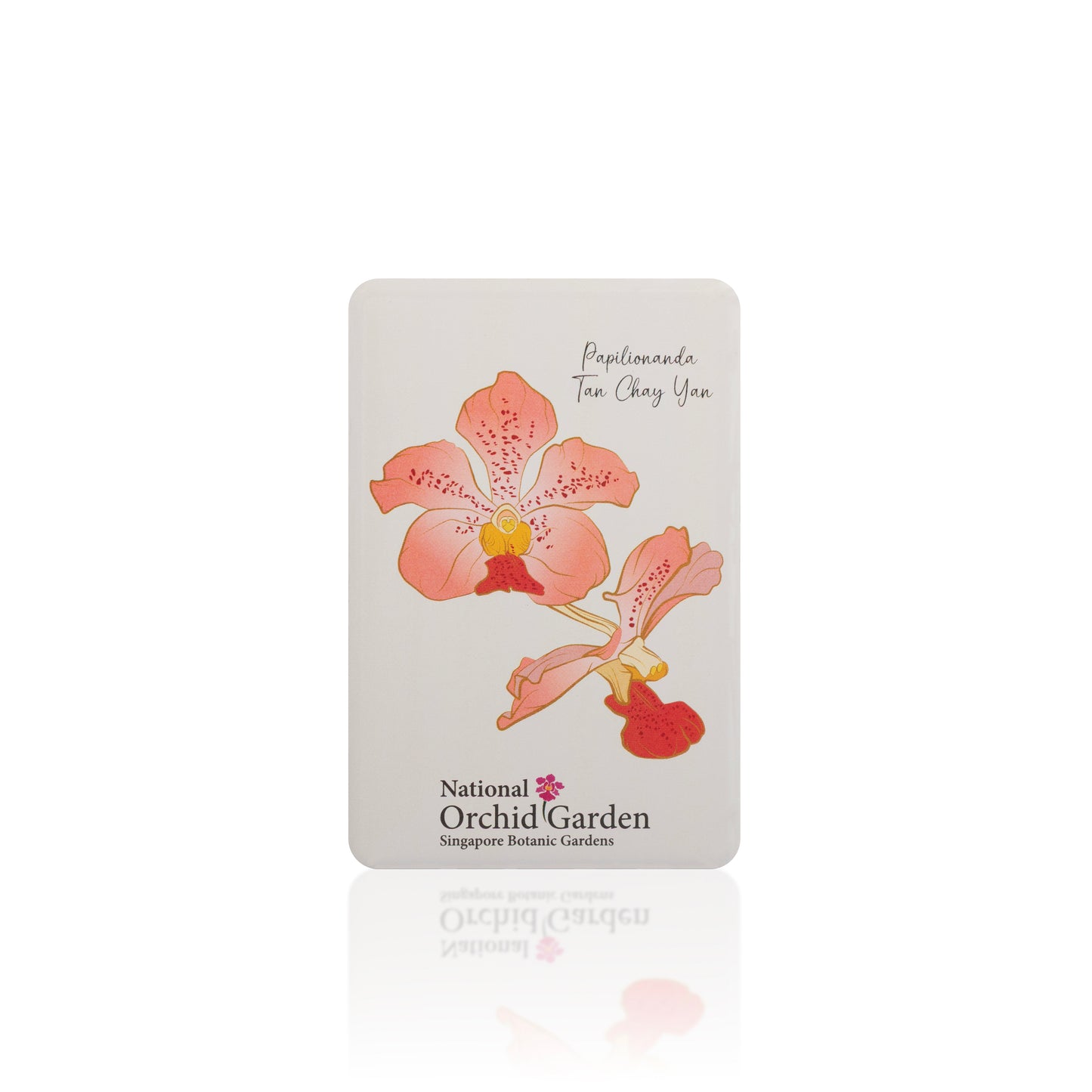 National Orchid Garden Magnet - Papilionanda Tan Chay Yan