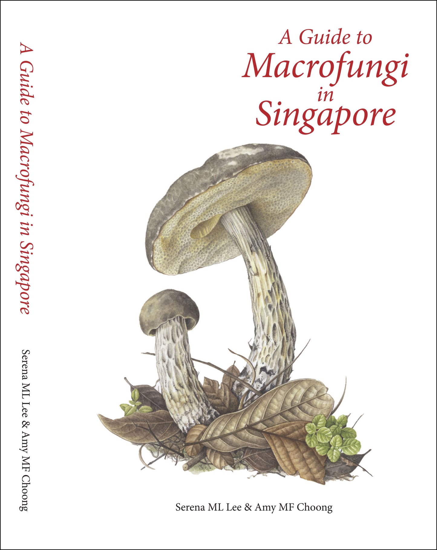 A Guide to Macrofungi in Singapore