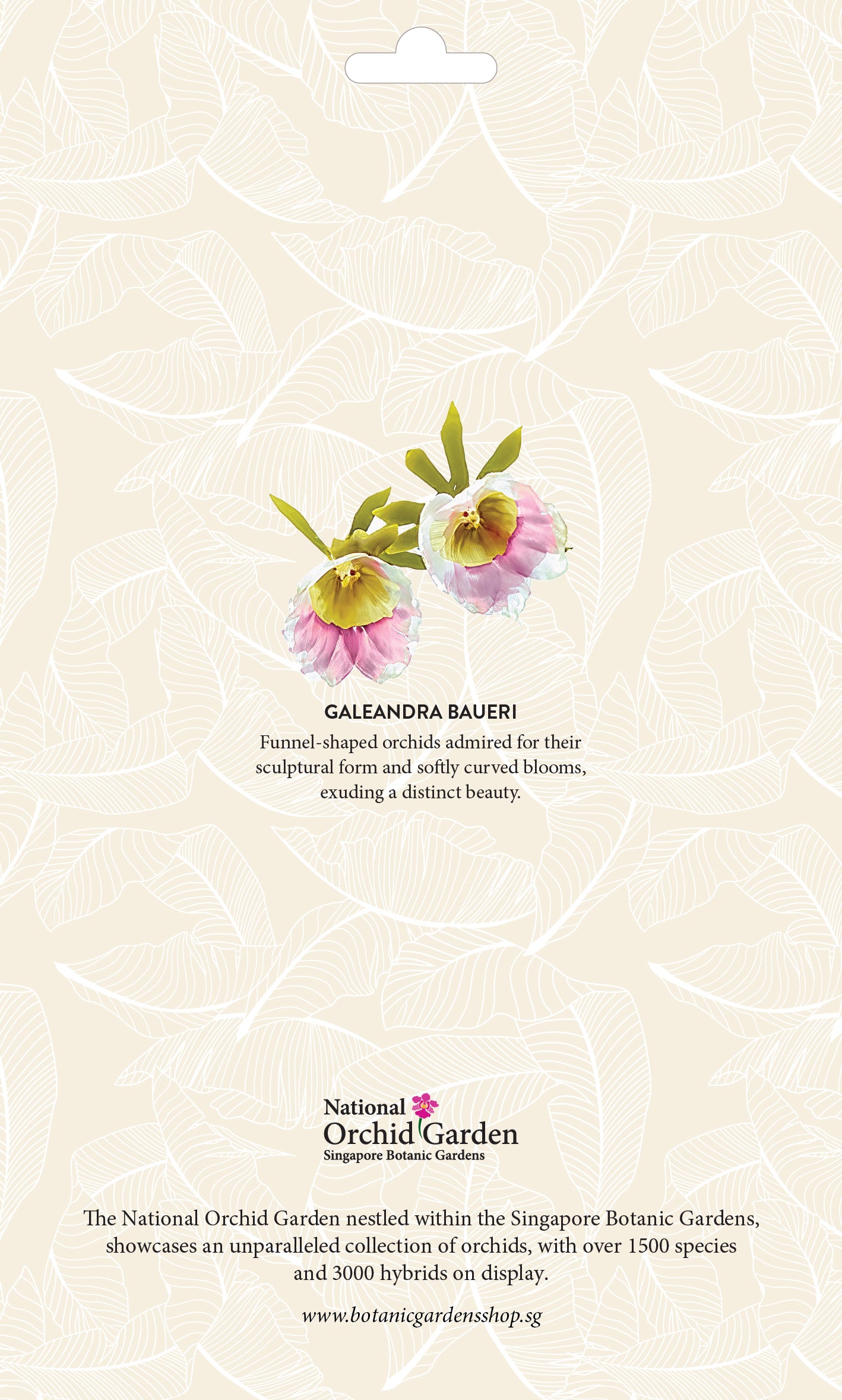 Botanic Luggage Sticker – Galeandra Baueri
