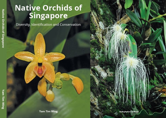 Native Orchids of Singapore : Diversity, Identification and Conservation (2nd edition)