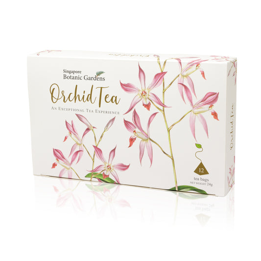 Orchid Tea