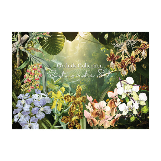 Orchids Postcard Set