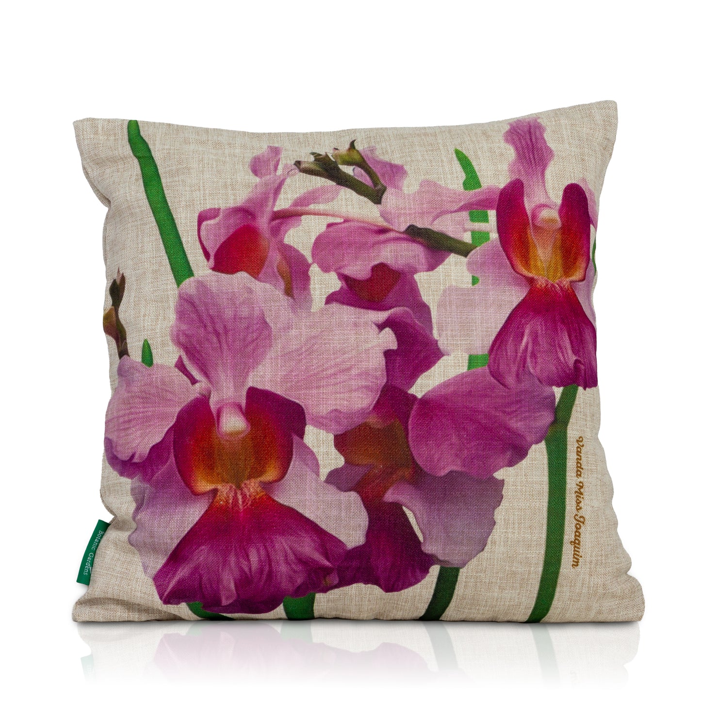 Vanda Miss Joaquim Orchid White Cushion Cover