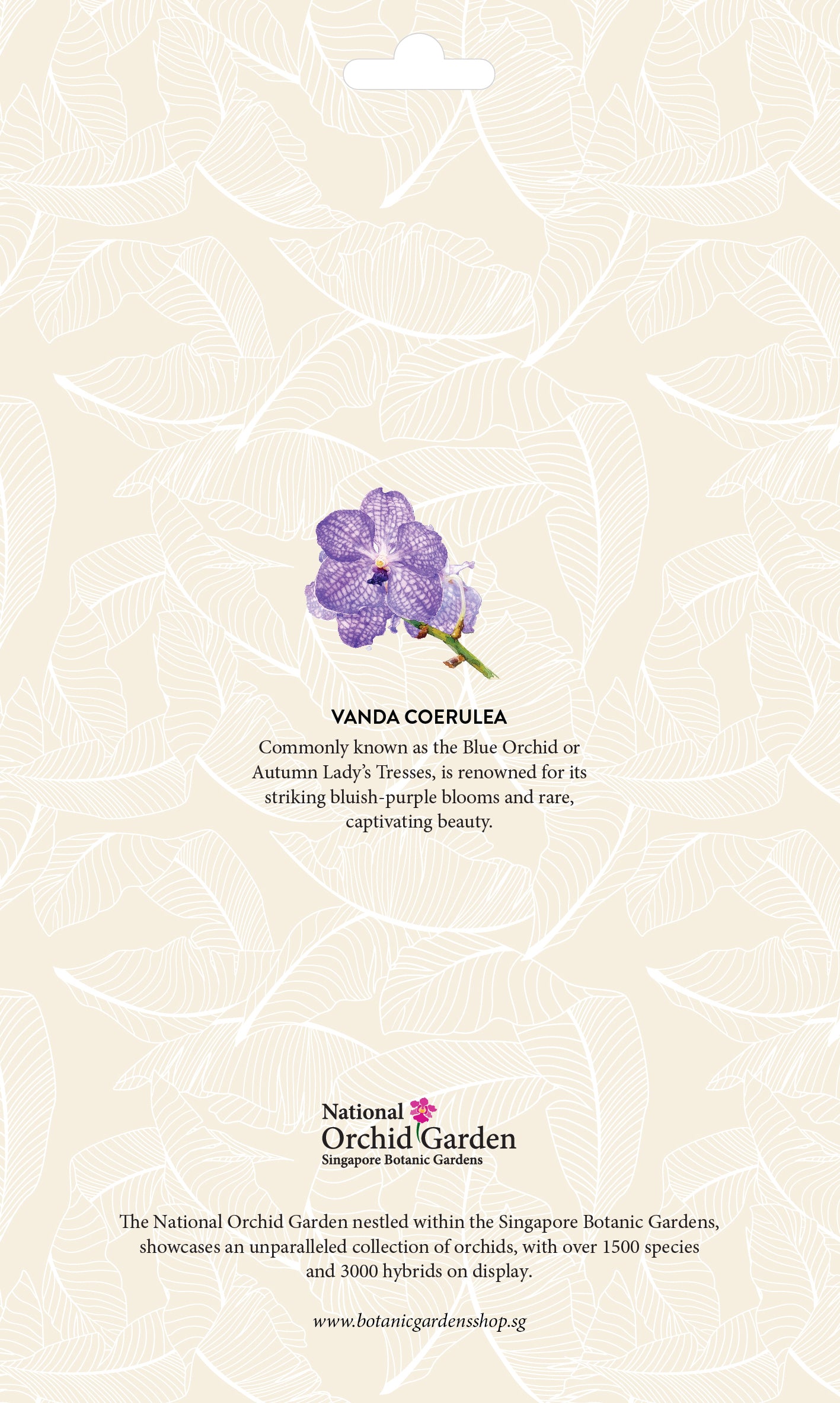 Botanic Luggage Sticker – Vanda Coerulea