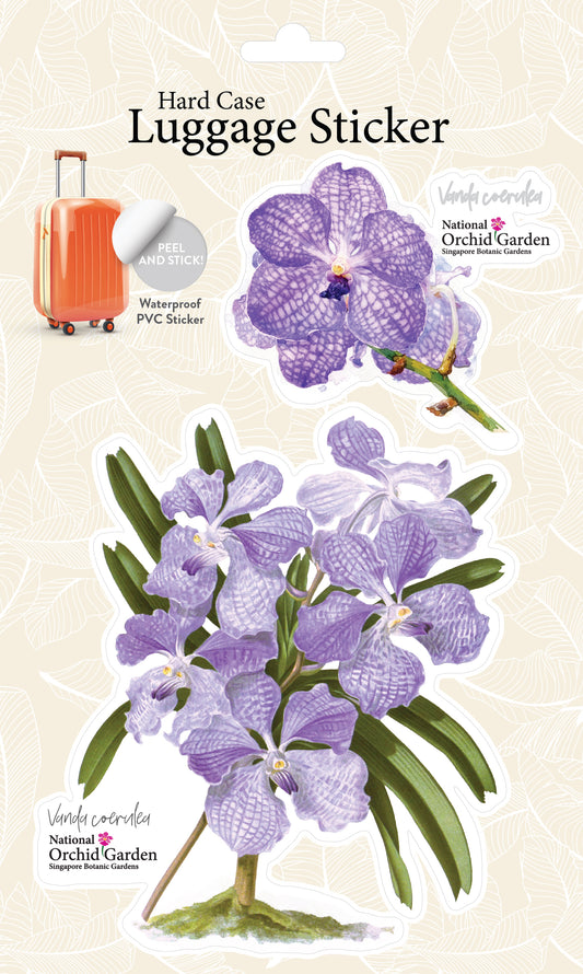 Botanic Luggage Sticker – Vanda Coerulea