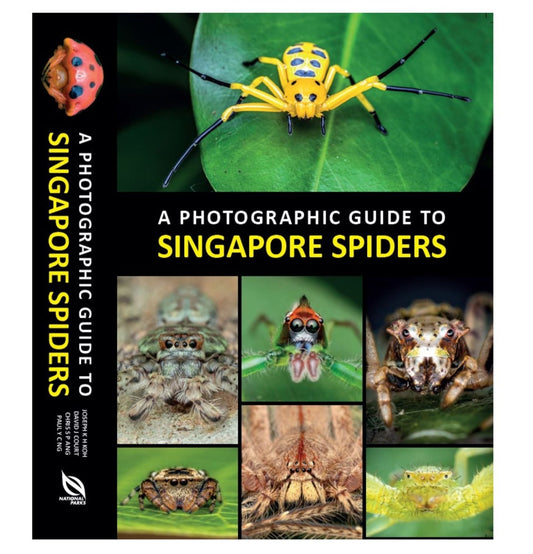 A Photographic Guide to Singapore Spiders