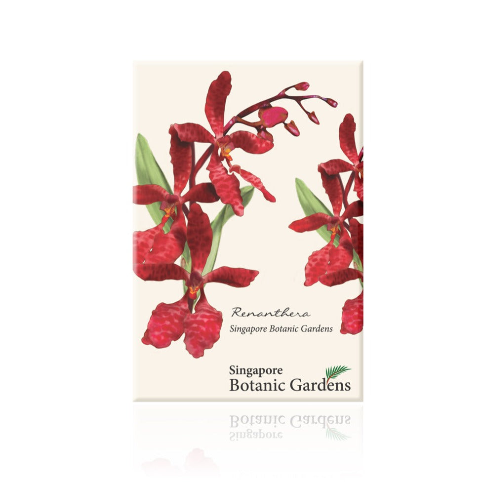 Botanical Print Magnet - Renanthera
