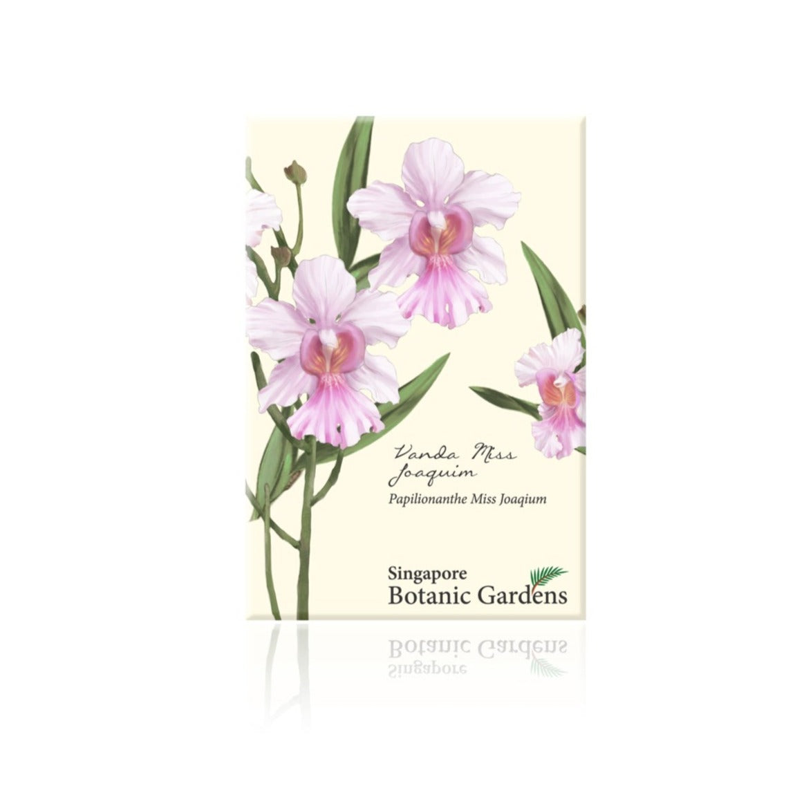 Botanical Print Magnet - Vanda Miss Joaquim