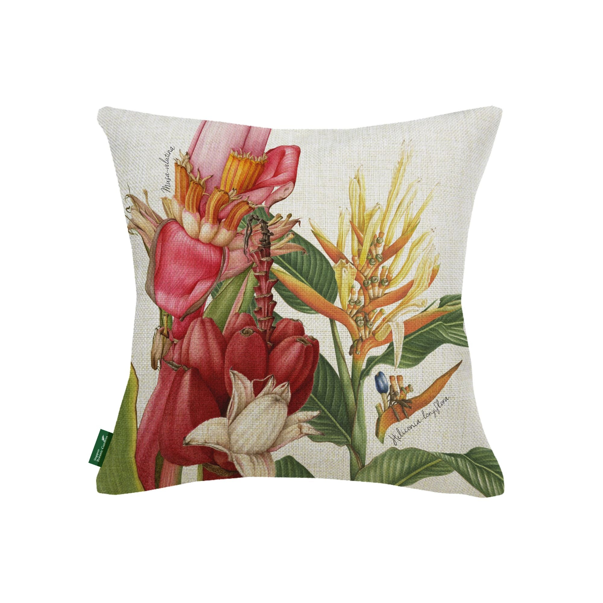 Heliconia Musa Flower Cushion Cover Singapore Botanic Gardens Gardens heliconia-musa-flower-cushion-cover-singapore-botanic-gardens-gardens