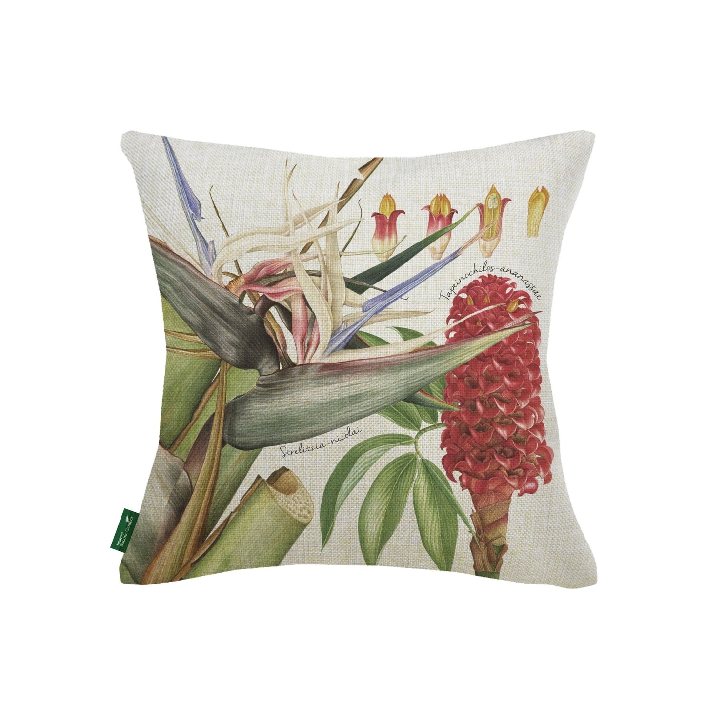 Strelitzia Flower Cushion Cover