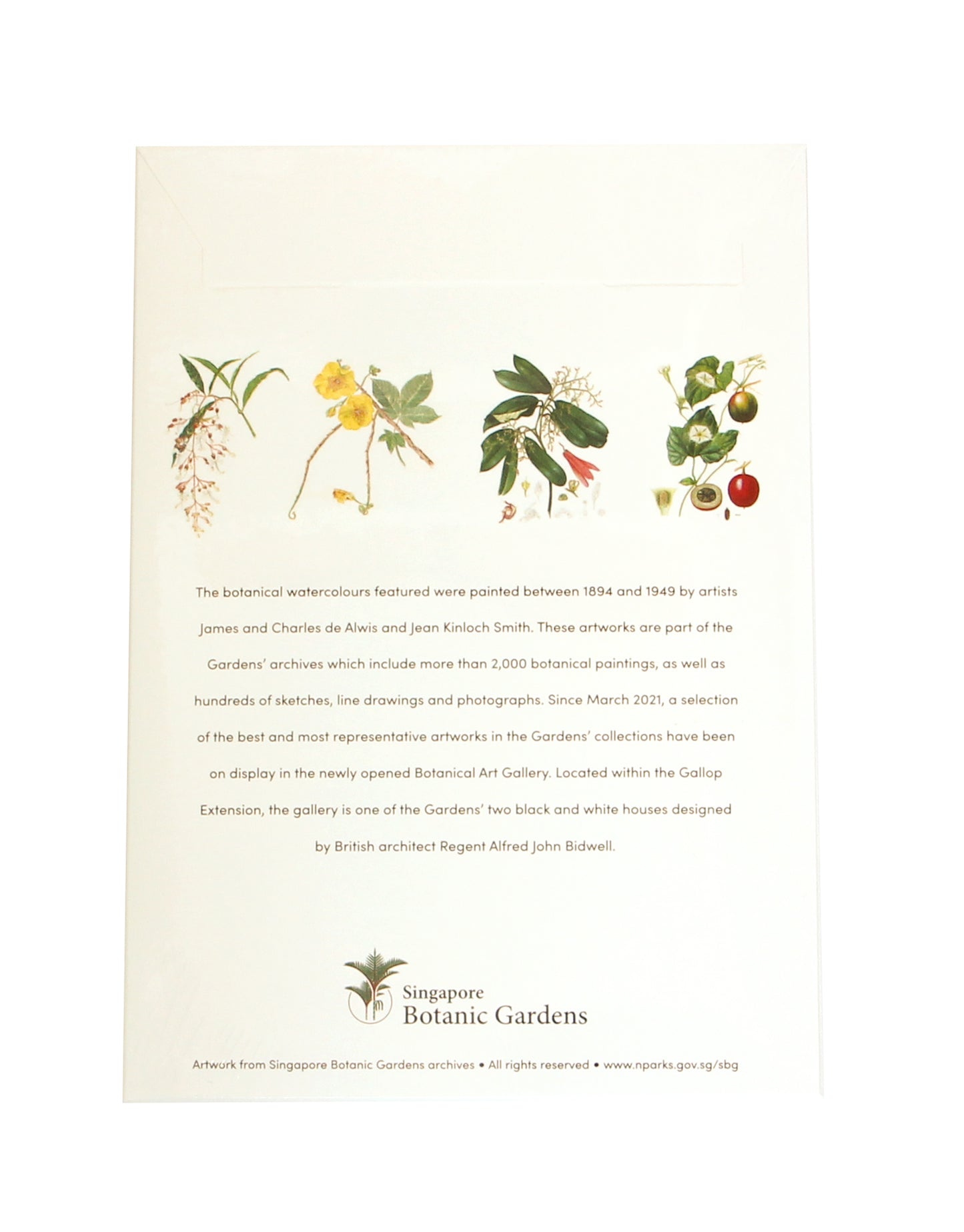 Botanical Illustrations Notecard