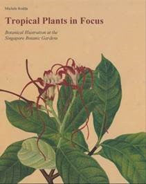 Tropical Plants in Focus: Botanical Illustration at the Singapore Botanic Garden