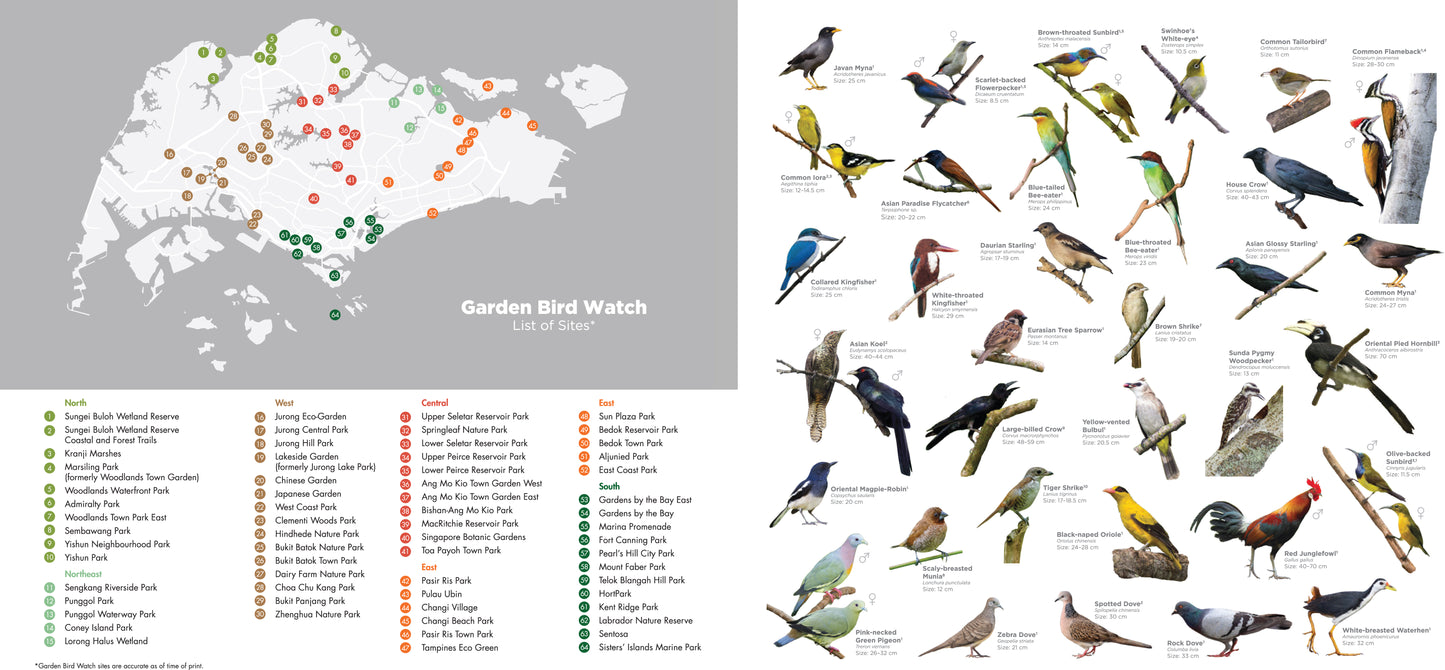 A Review of Garden Bird Watch
