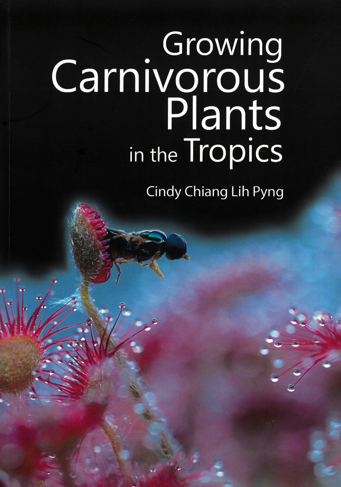 Growing Carnivorous Plants in the Tropics