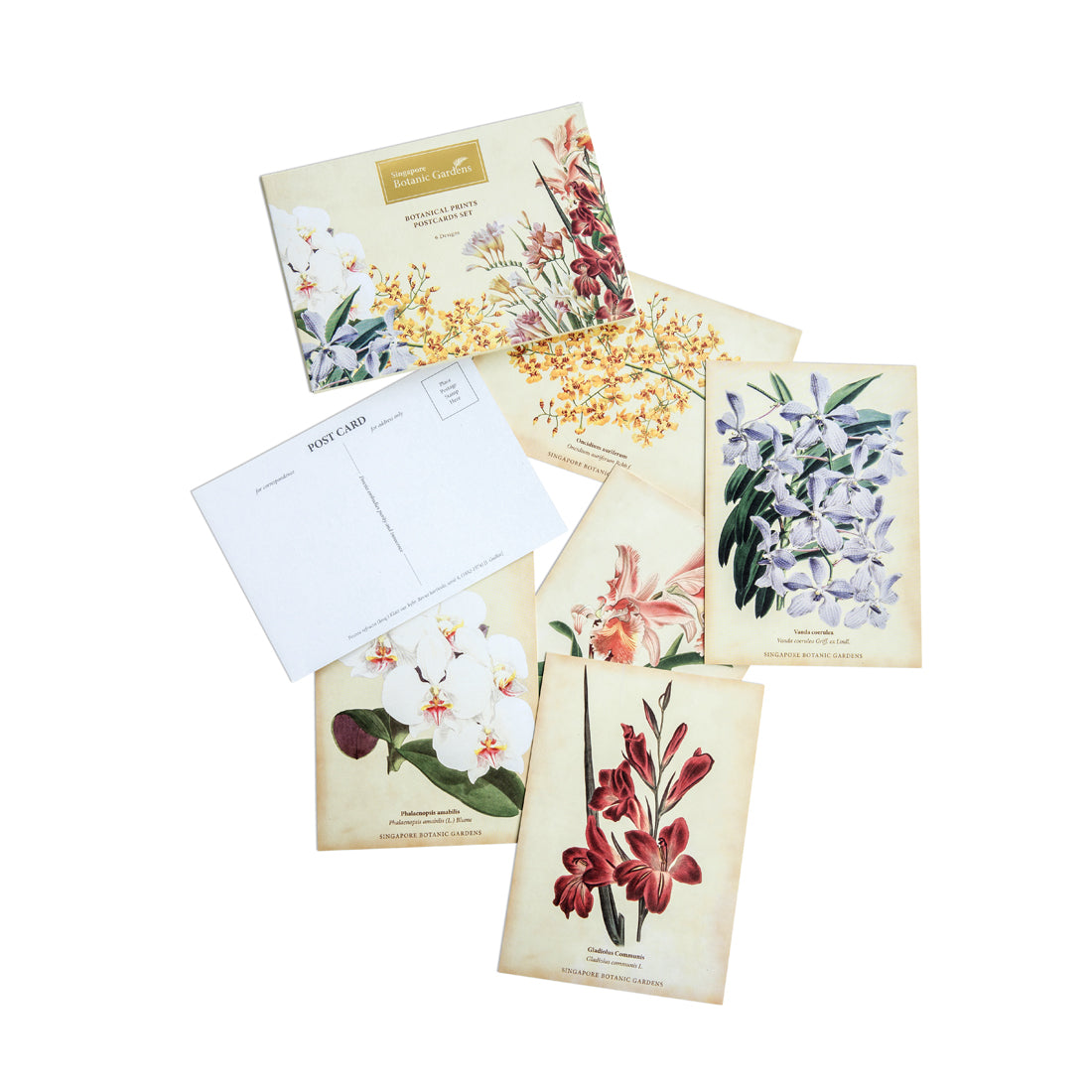 botanical-print-series-set-of-6