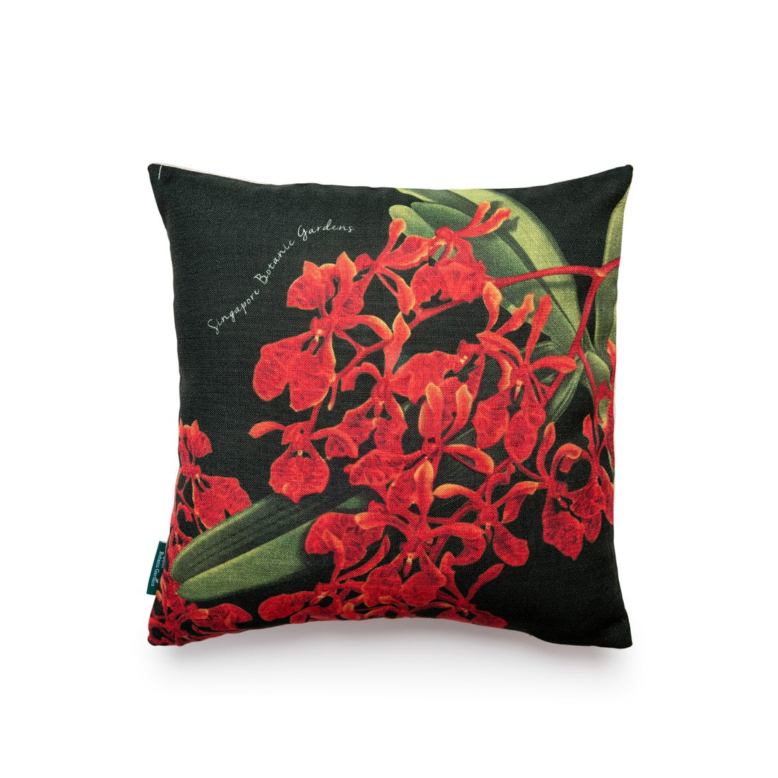 Renanthera Orchid Black Cushion Cover