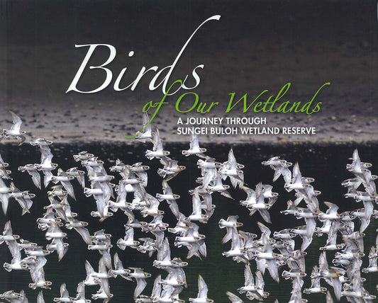 birds-of-our-wetlands-journey-through-sungei-buloh-reserve