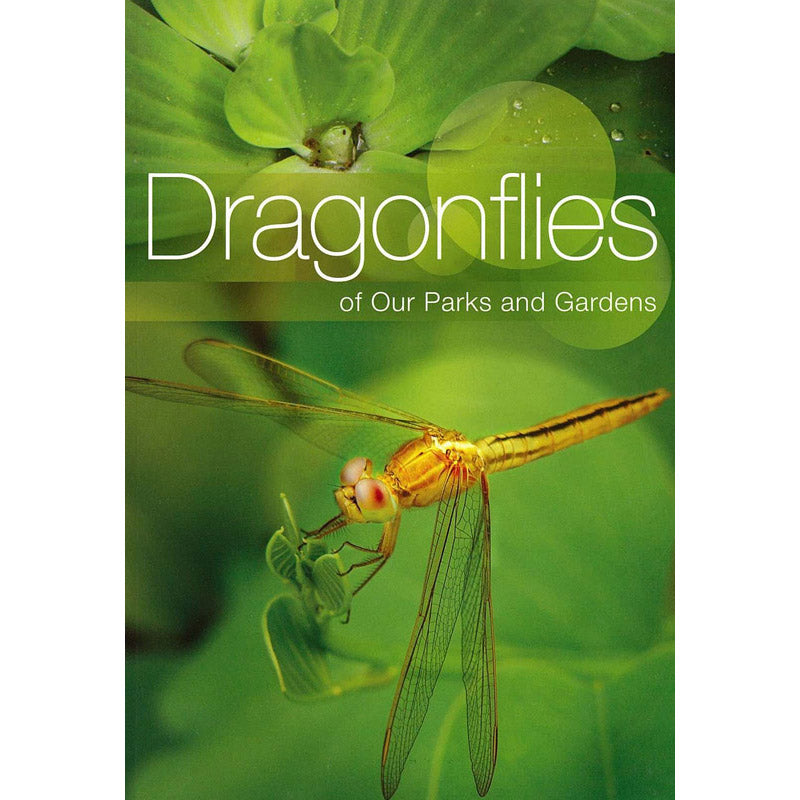 dragonflies-of-our-parks-and-gardens