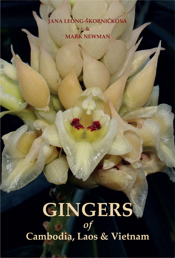 gingers-of-cambodia-laos-and-vietnam